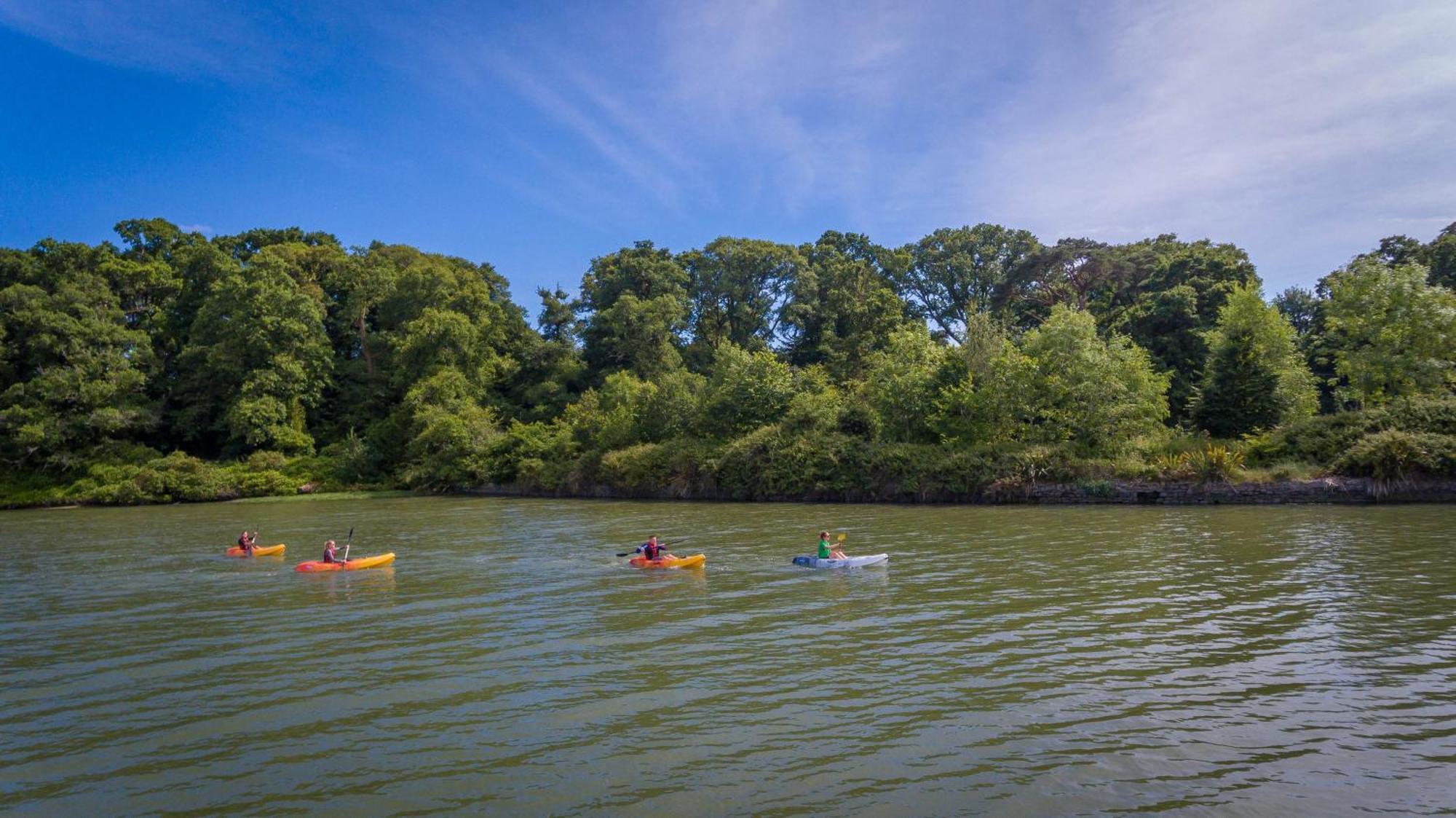 福塔岛Spa酒店 Fota 外观 照片 Kayakers on the lake