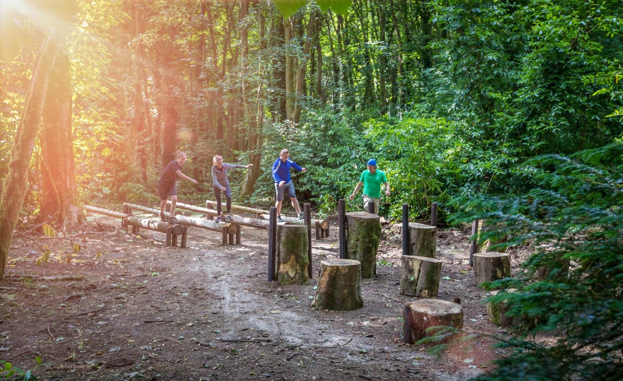 福塔岛Spa酒店 Fota 外观 照片 The Log Bridge